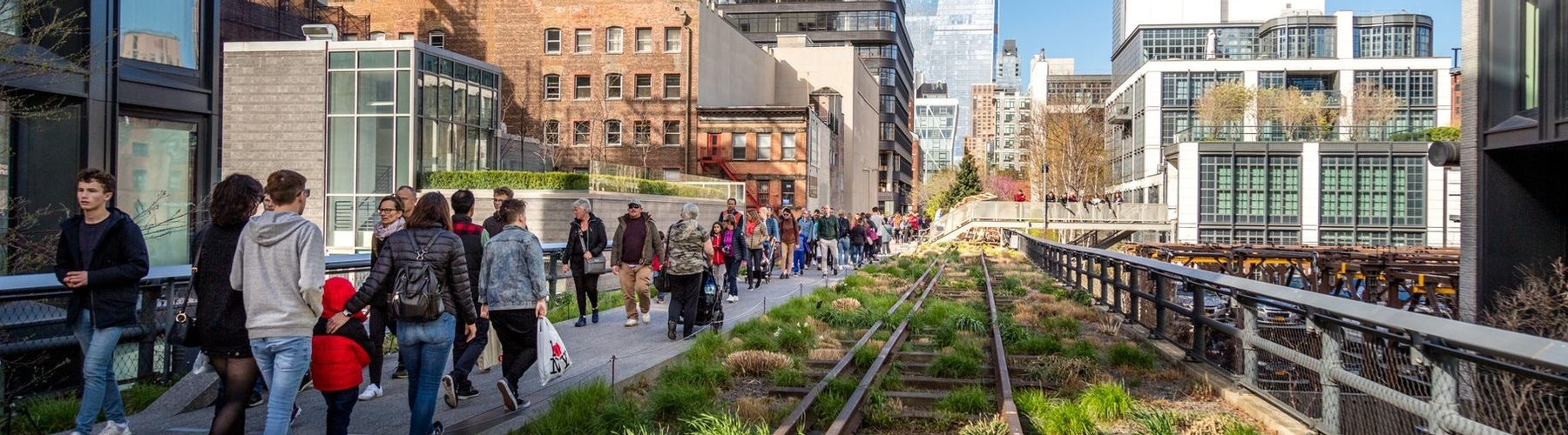 The Ultimate Guide to the High Line