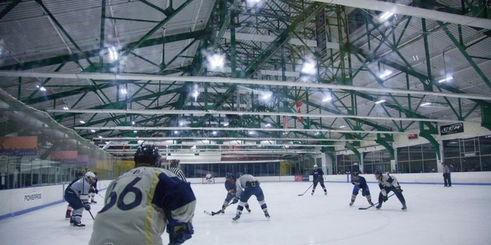 Hockey guidebook explores NYC's niche scene, from beer leagues to sports bars